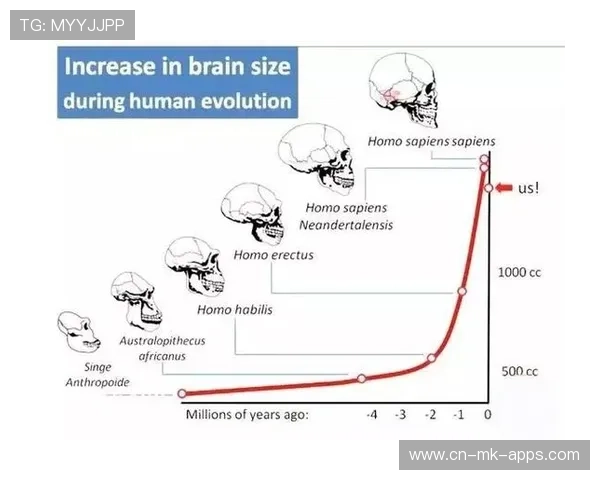 网球技术进化：高科技训练的影响
